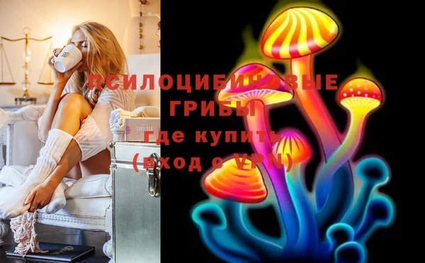 соль курить ск Пересвет