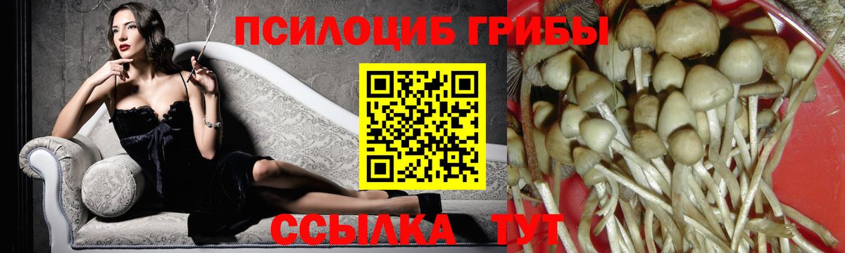  КОКАИН Северодвинск