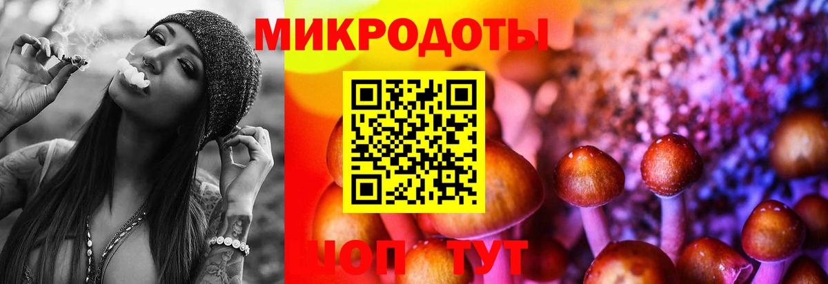 Псилоцибиновые грибы мицелий  Вход с VPN  Северодвинск 